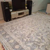 ۱ فرش  ۱۲ متری پتینه نو ۱۲۰۰ شانه
