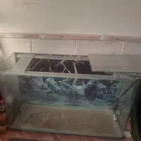 اکواریوم
