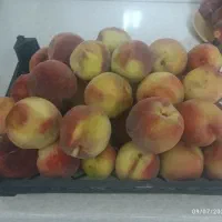 هلو|خوردنی و آشامیدنی|تبریز, |دیوار