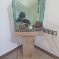 اکواریوم با تموم لوازم