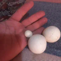سنگ الماس آسیاب