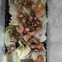حلزون پرورشی