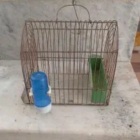 قفس سهره