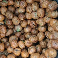 پوست گیری گردو با دستگاه