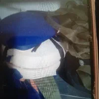 نوار