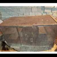 قفس پرنده برازجان