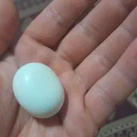 پیام