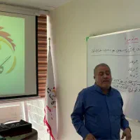 مرغ تخمگذار گوشتی|حیوانات مزرعه|تهران, صادقیه|دیوار