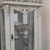 گنجه