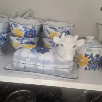 ظروف گل پنبه