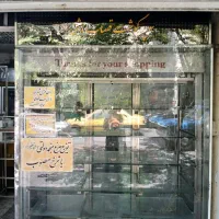 یخچال قصابی