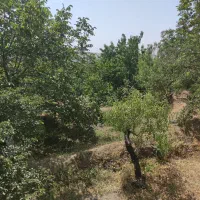 باغ-حاصل-خیز-اسکو