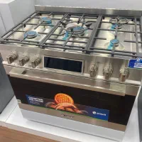 فروش گاز اسنوا شف نو داخل کارتن