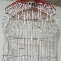 قفس پرنده