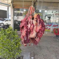 قصابی و کبابی مرادی،باکیفیت ترین گوشت کوهدشت