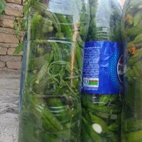 خیارشور ویژه و ترد