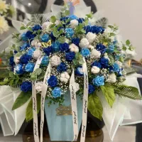 عروسک|اسباببازی بچه|اراک, |دیوار