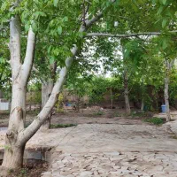 اجاره روزانه خانه باغ راین