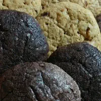 کیک های رژیمی ، کوکی،بلوندی و بلوکی