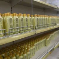 شامپو و روغن مورینگا تخفیف فوق‌العاده از نمایندگی