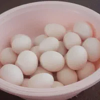 تخم مرغ محلی