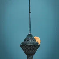 فروشنده حرفه ای