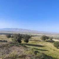 زمین نیک نیا