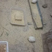 بلدر‌چین‌