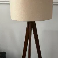 آباژور ایستاده