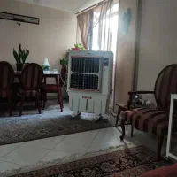 کلر اب سلوزی