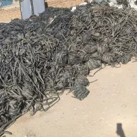خریده و فروش نوار قطره نوار طیف