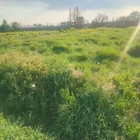 باغ یک هکتار علف رایگان