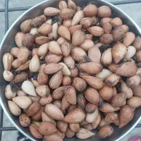 بادام کوهی شیرین