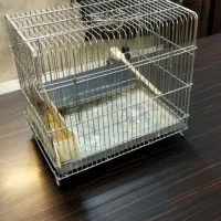 سایز کوچک مناسب سیره