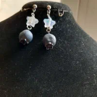 گوشواره بلوبری و گردنبند