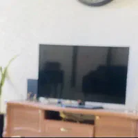 تلوزیون