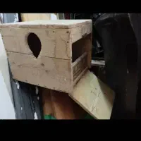 قفس چوبی