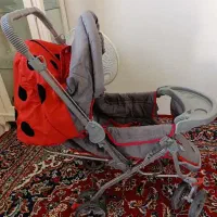 کالسکه دلیجان در حد نو