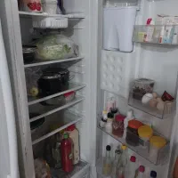 یخچال دوقلو الکترو استیل