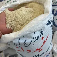 برنج حصار و میانه و گوهر (قیمت کارخانه) کالابرگ