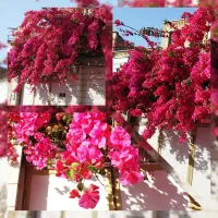ادیت عکس (تخفیف ویژه)