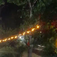 اجاره روزانه