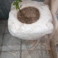 جوقن