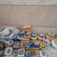 گلدان