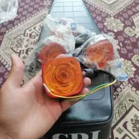 زین و چهار عدد راهنما نو