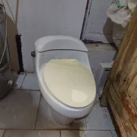 توالت فرنگی