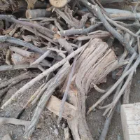 خریدار چوب باغی