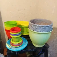 گلدون