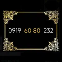 0919.60.80.232|سیم‌کارت|تهران, پرستار|دیوار