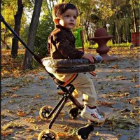 کالسکه کودک تا ۷ سال همراه با سایه بان نونو هستش